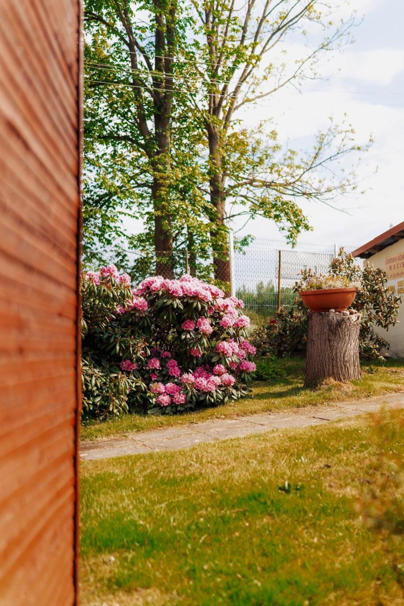 Holiday home Letniskowe Owrac